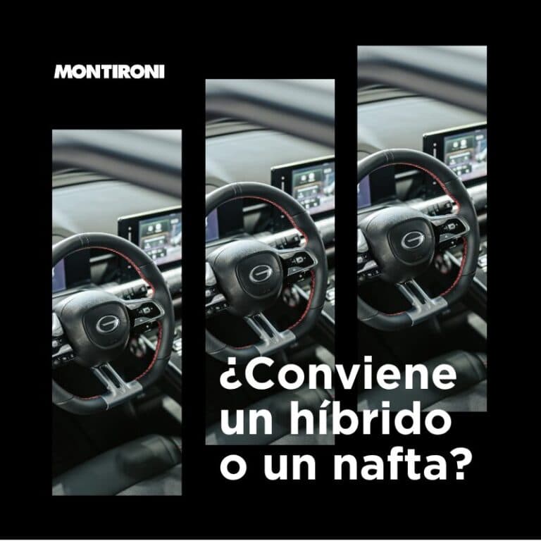 ¿Conviene un híbrido o un nafta?